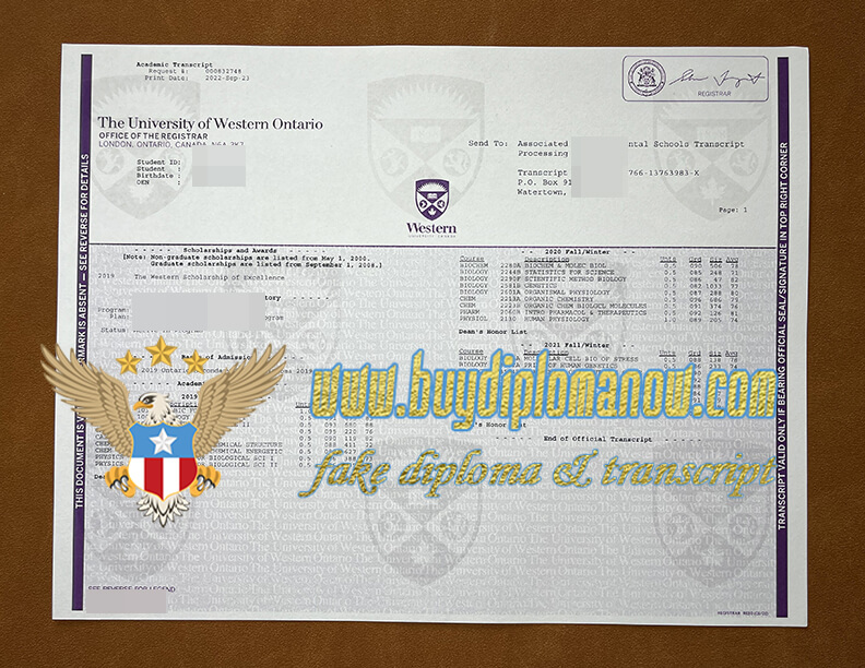 Buy a UWO fake diploma